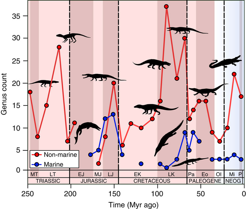 Illustration for article titled Climate Change Killed Earth's Crocodilians, and It Could Bring Them Back, Too